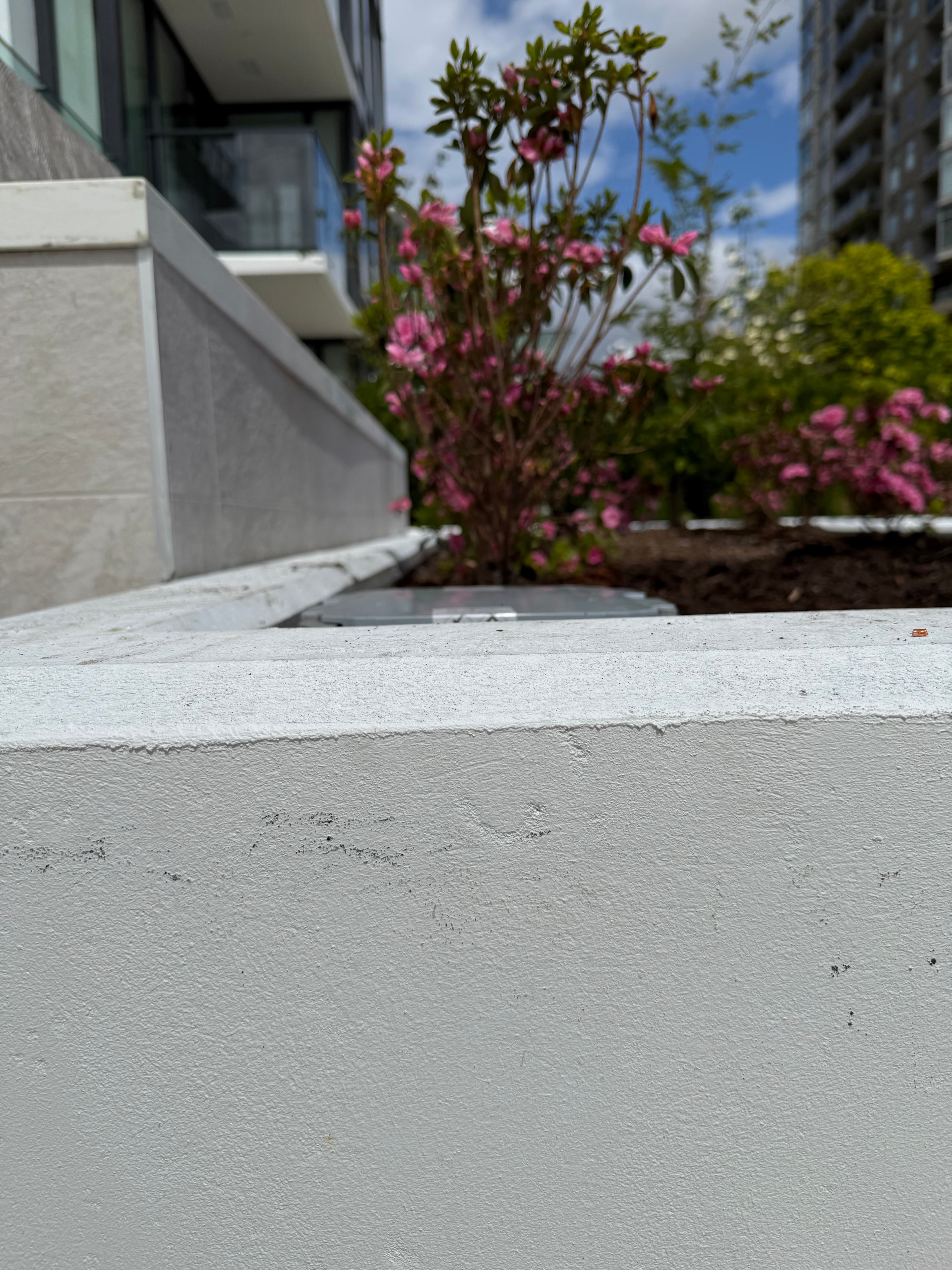 Exterior landscaping and lighting detail